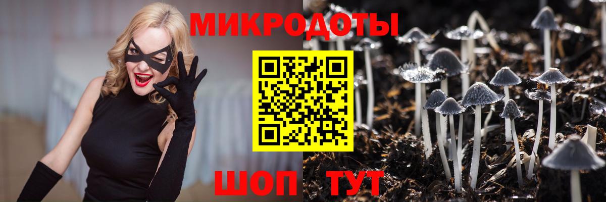 Псилоцибиновые грибы мухоморы  Вход с VPN  Мценск  Псилоцибиновые грибы мухоморы 
