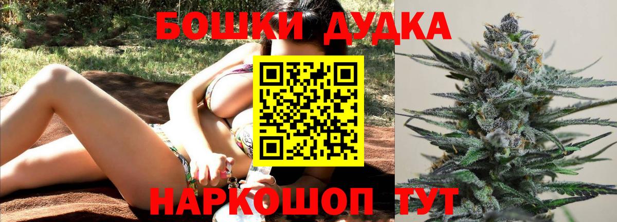 Бошки марихуана планчик  Канабис планчик  МАРИХУАНА индика  Вход с VPN  Мценск 
